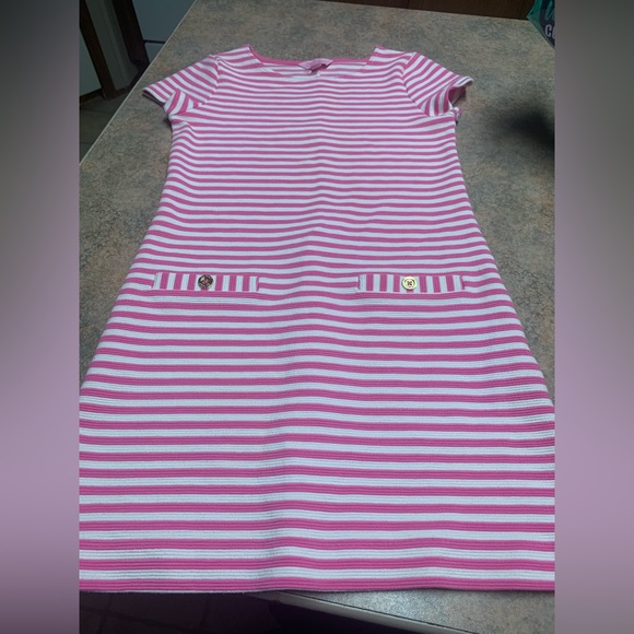 Lilly Pulitzer Other - Lilly Pulitzer dress